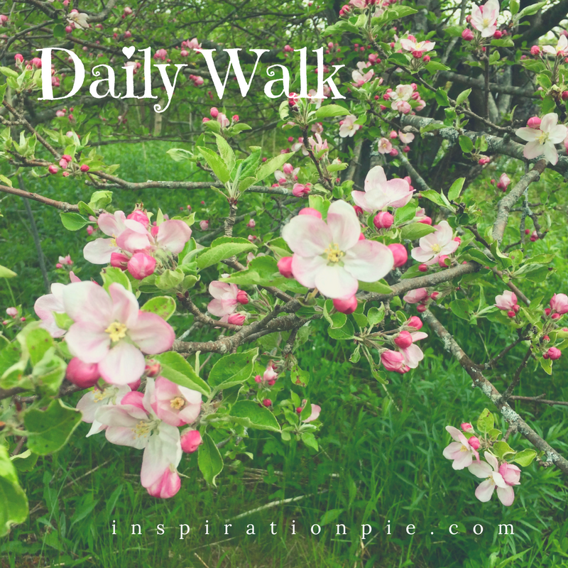 Daily Walk http://inspirationpie.com